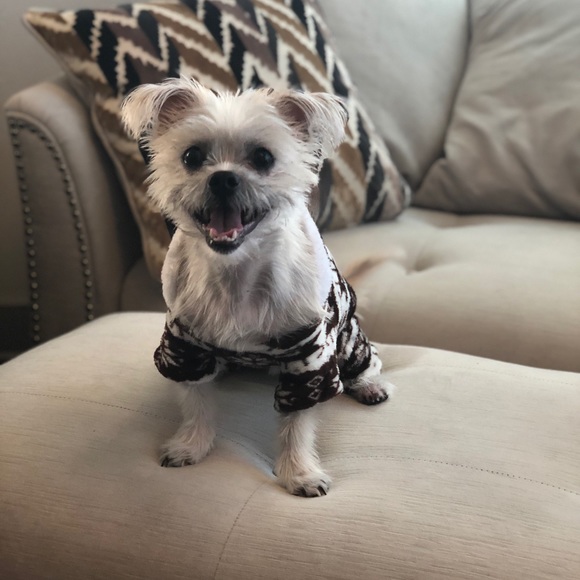 Meet your Posher, Shan - Picture 8 of 8